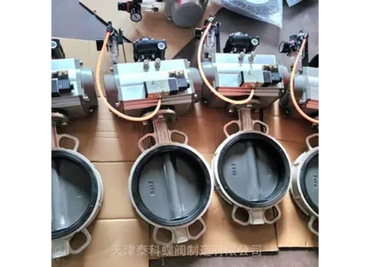 D71X-16 Wafer Butterfly Valve