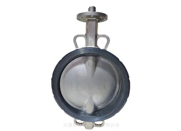 CF8/CF8M/CF3M Stainless Steel Flanged Butterfly Valve