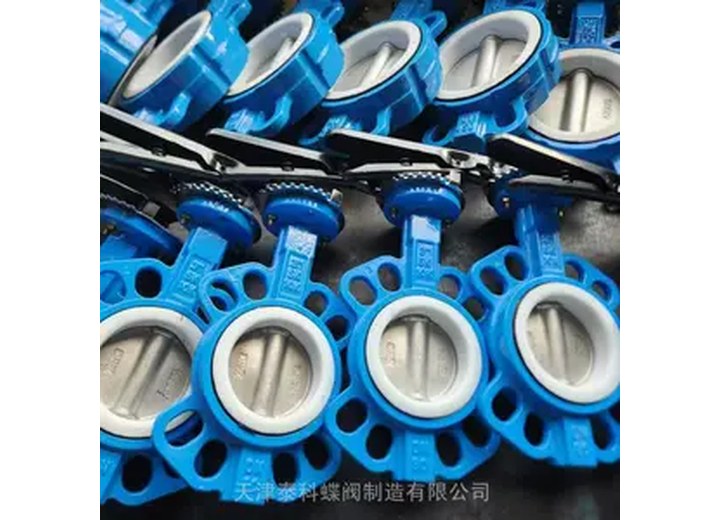 D71F4-10Q PTFE Lined Manual PTFE Lined Butterfly Valve