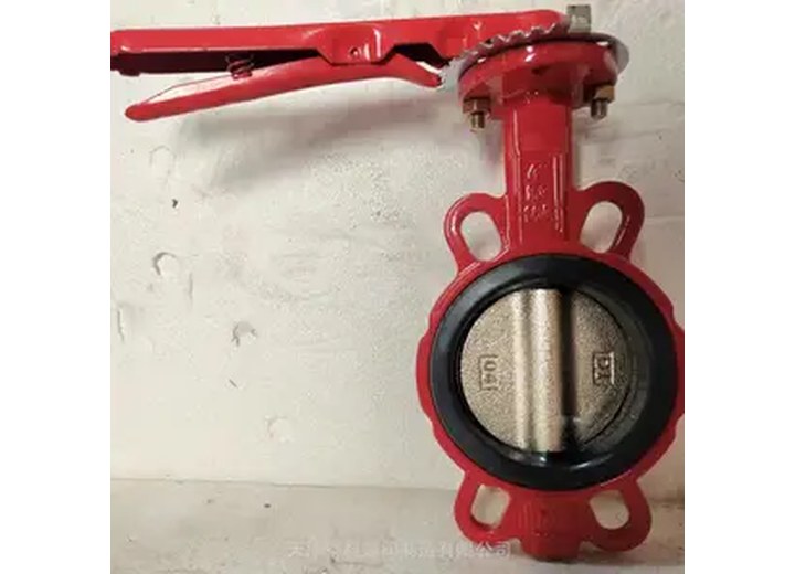 Butterfly Valve