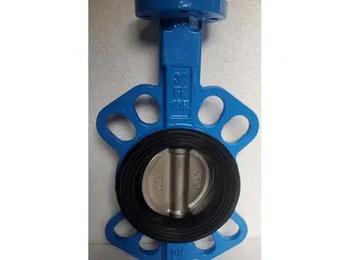 D71XP-16Q Stainless Steel Manual Butterfly Valve