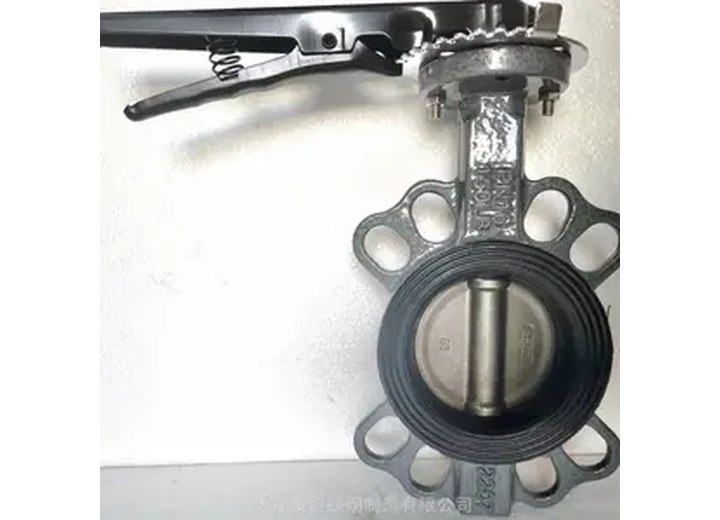 D71J-16C Stainless Steel Manual Butterfly Valve