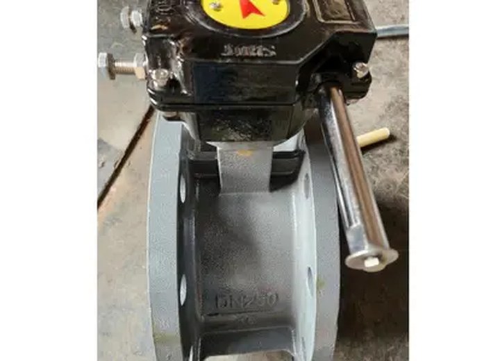 Stainless Steel Ductile Iron Carbon Steel PTFE Lined Flanged Butterfly Valve