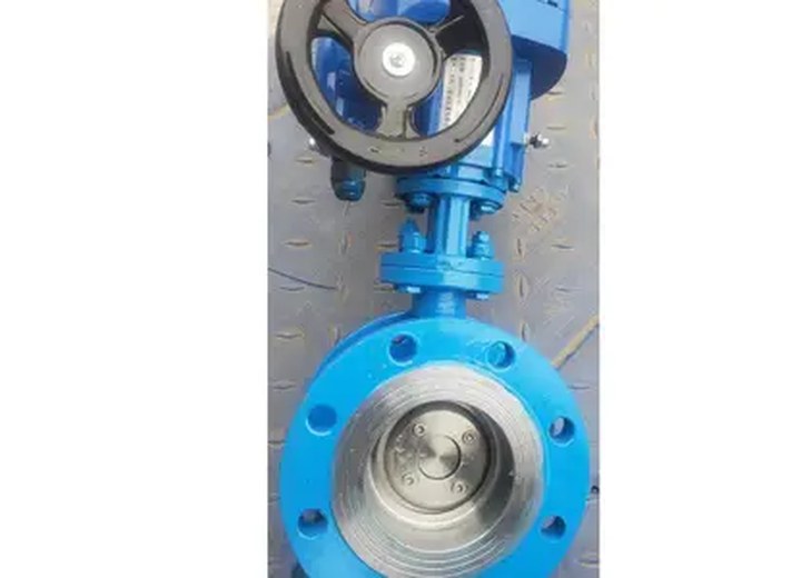 D943H-16CP Stainless Steel Electric Butterfly Valve
