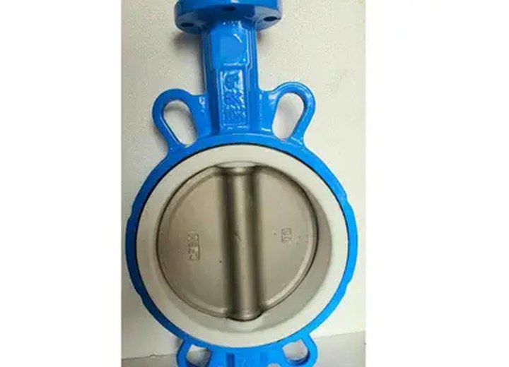 Stainless Steel Wafer Butterfly Valve
