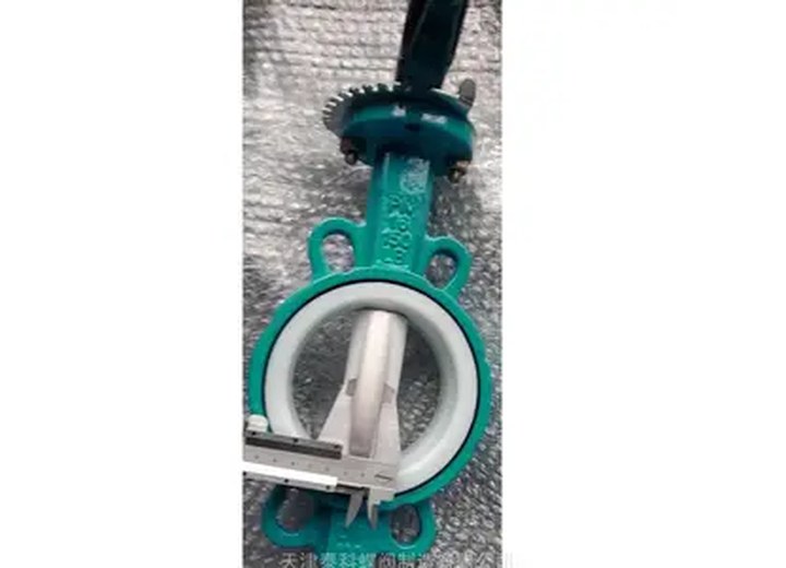 F4 PTFE Lined PTFE Lined Butterfly Valve