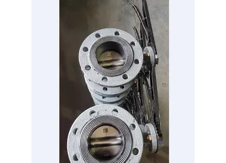 D41X-16C Carbon Steel Manual Flanged Butterfly Valve