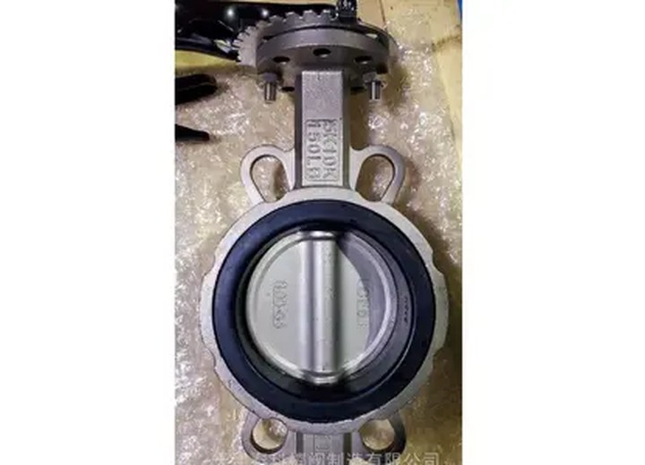 Stainless Steel Wafer Butterfly Valve