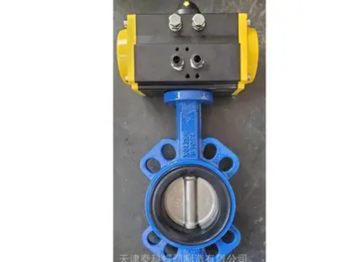 D671J-16Q Pneumatic Wafer Butterfly Valve