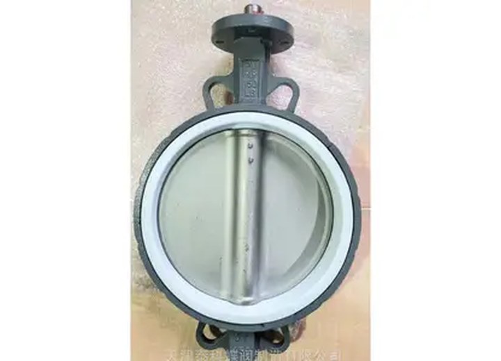 D71F4-10Q Ductile Iron Carbon Steel PTFE Lined Wafer Butterfly Valve