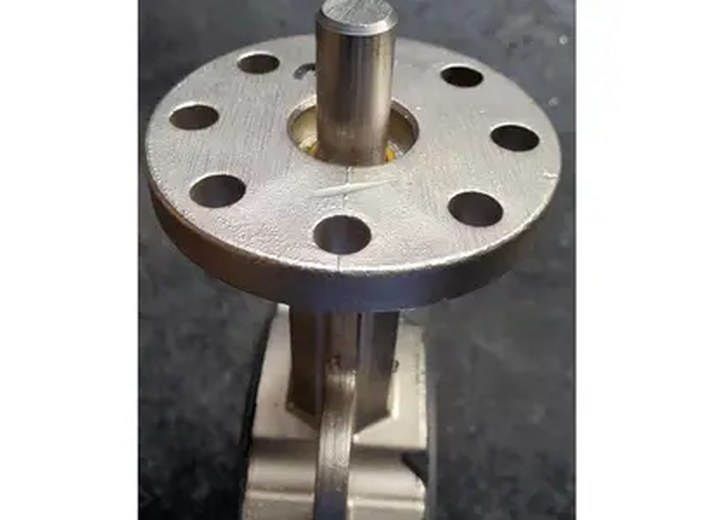 D371J-16RL Stainless Steel Butterfly Valve