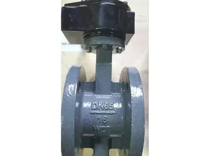 Carbon Steel Flanged Butterfly Valve