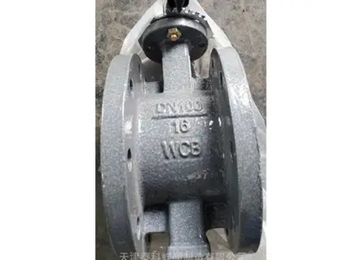 D71X-16C Carbon Steel Manual Flanged Butterfly Valve