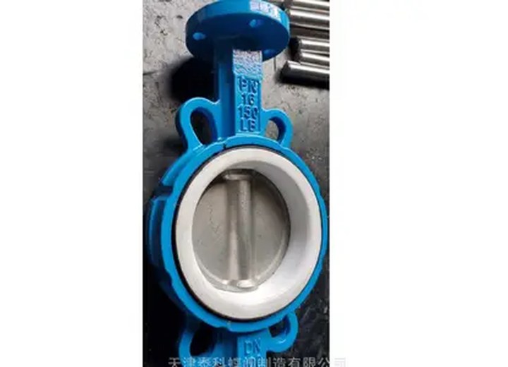 SS304 Stainless Steel Wafer Butterfly Valve