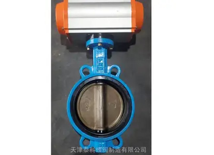 D671X-16Q/1.4529 Pneumatic Butterfly Valve