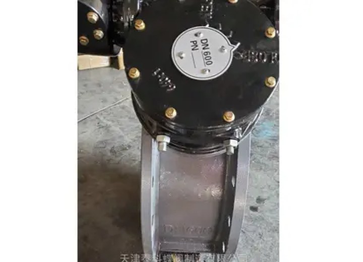 D341X-10C/2507 Flanged Butterfly Valve
