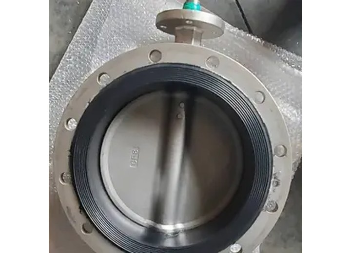 D41X-16P Stainless Steel Flanged Butterfly Valve