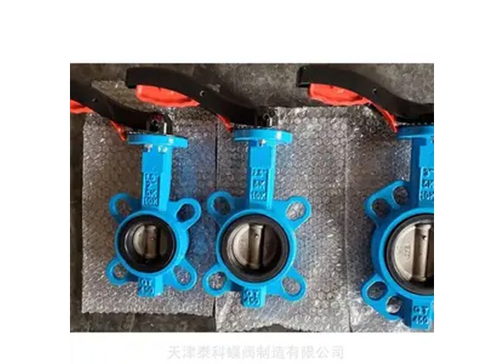 DN25 Manual Flanged Butterfly Valve