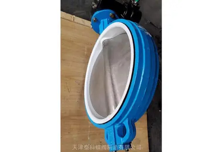 D371F-10Q Stainless Steel Wafer Butterfly Valve