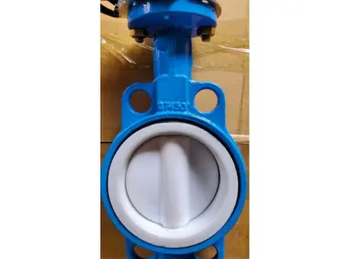 D71F PTFE Lined PTFE Lined Butterfly Valve