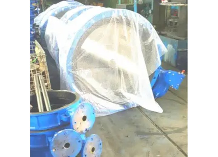 D371X/D341X Flanged Butterfly Valve