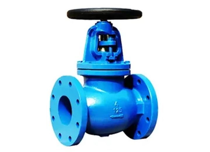 Globe valve product category
